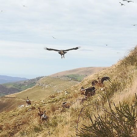 La Pasiega San Roque de Ríomiera Esterno foto