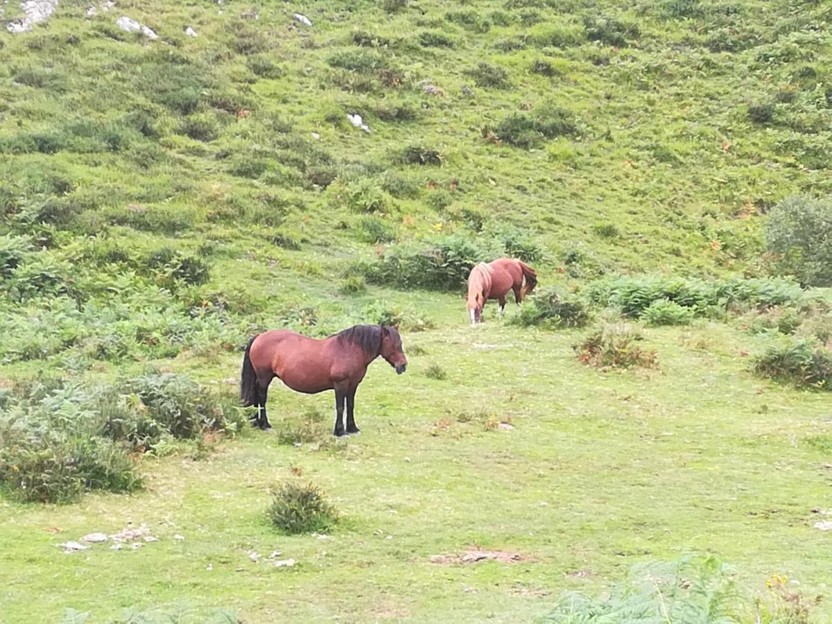 La Pasiega San Roque de Ríomiera Esterno foto