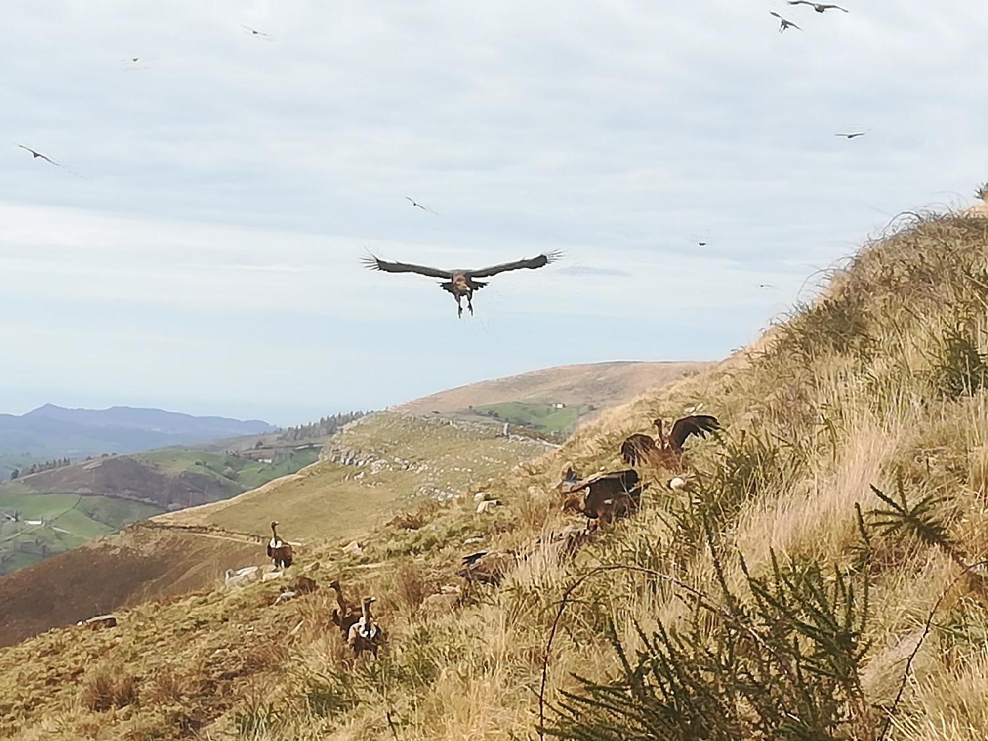 La Pasiega San Roque de Ríomiera Esterno foto